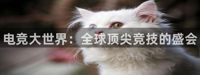 欧洲区世界杯预选赛:电竞大世界:全球顶尖竞技的盛会