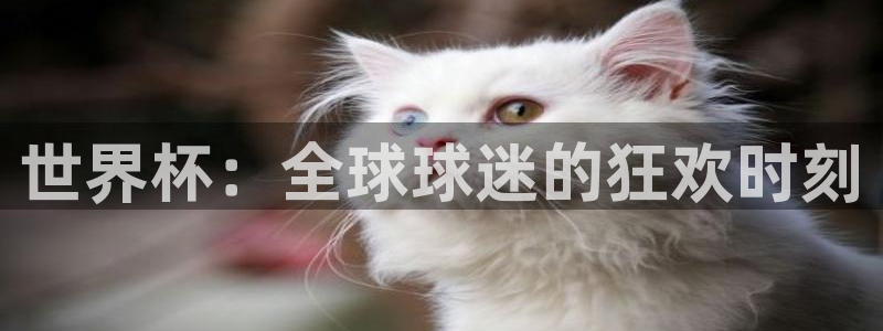 世界杯欧洲区世预赛赛程:世界杯:全球球迷的狂欢时刻
