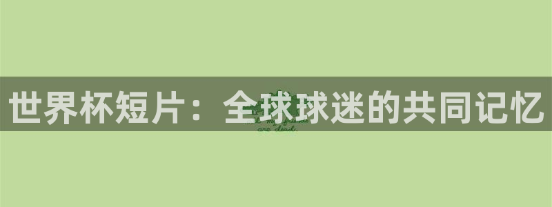 2026男足世界杯:世界杯短片:全球球迷的共同记忆
