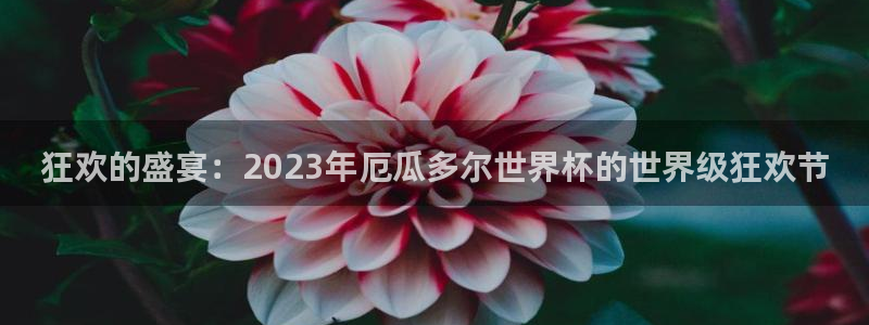 中国 世界杯:狂欢的盛宴:2023年厄瓜多尔世界杯的世界级狂欢节